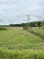 Kẹt tiền xây nhà chính chủ bán gấp 160m2 đất tại ấp tua hai, huyện châu thành, tỉnh tây ninh