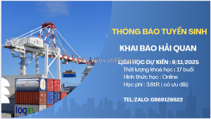 Khai giảng khoá học khai hải quan điện tử chuẩn vnaccs