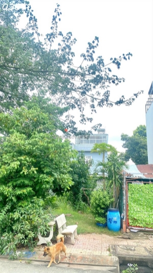 Lô đất 100m² vuông vức, xây dựng tự do, vị trí vàng đường 11a – long bình – thủ