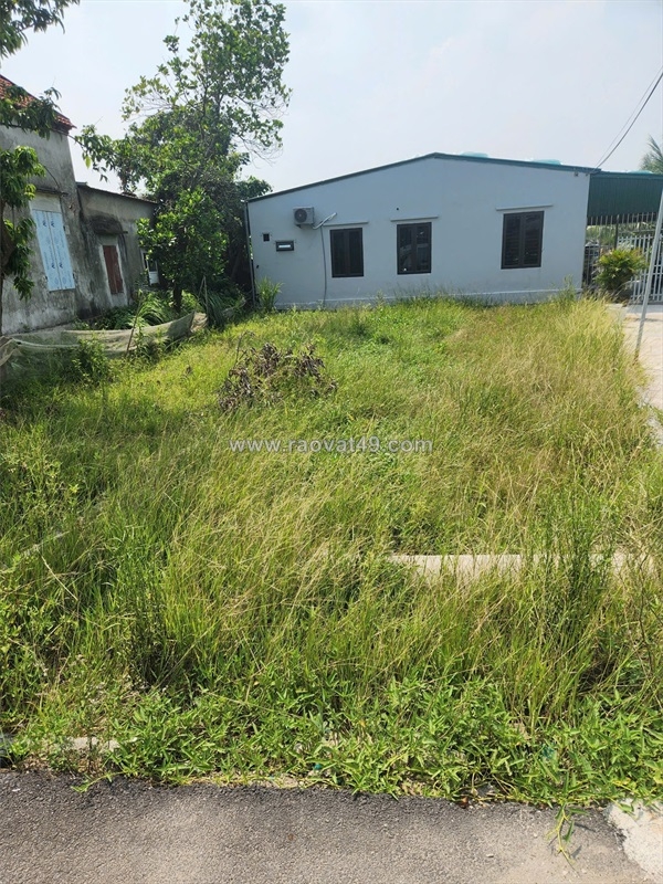 ~/Img/2025/10/lo-goc-2-mat-ngo-dep-90m-doan-xa-kien-thuy-gia-chi-15x-ty-zalo-0567-222-02.jpg