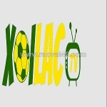 Maniffesto.com scamming users