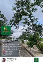 Mặt bằng thương mại cực hiếm ngay trung tâm phước hòa.