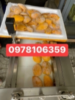 Máy thái xoài cấp đông hạt lựu, máy thái trái cây, máy thái dưa hấu thanh long hạt lựu, máy thái băng tải jl1000