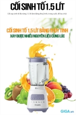 Máy xay sinh tố đa năng hr2222/00 phù hợp cho gia đình đông người