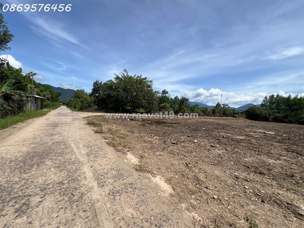 ~/Img/2025/10/mo-ban-14-lo-nen-tho-cu-tai-khanh-vinh-khanh-hoa-02.jpg