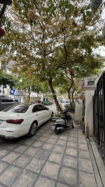 Nguyễn du – ngọc thổ trung tâm – thịnh vượng dồi dào