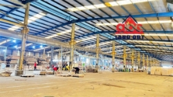 Nhà xưởng sản xuất lâu dài, khung thép cho thuê bàn giao hoạt động nhiều ngành