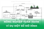 Nông nghiệp tuần hoàn