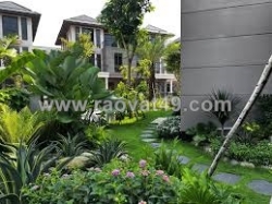 Phong cách sân vườn nhiệt đới