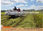 Quy trình hải quan xuất khẩu gạo