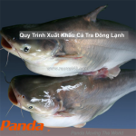 Quy trình xuất khẩu cá tra đông lạnh