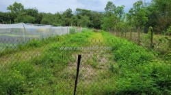 Sở hữu🌿đất đẹp - giá hợp lý
- vị trí đắc địa tại : phước minh -  dương minh