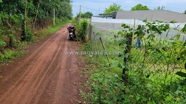 ~/Img/2025/10/so-huudat-dep-gia-hop-ly-vi-tri-dac-dia-tai-phuoc-minh-duong-minh-02.jpg