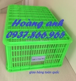 Sọt nhựa rỗng đựng đồ trong nhà máy chế biến, sóng nhựa hở, sọt nhựa nguyên sinh