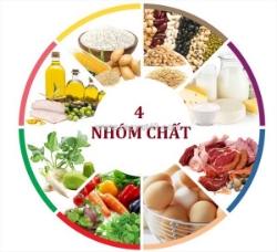 Sữa mẹ và thực đơn ăn dặm – nền tảng dinh dưỡng cho bé nhỏ