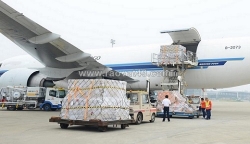 Tham khảo gói dvụ gửi hàng đi nước ngoài uy tín hàng đầu tại cargoviet