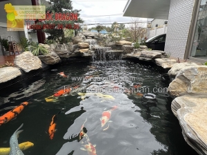 Thi công hồ cá koi nhật thiết kế