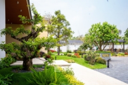 Thiết kế cảnh quan cây xanh – bí quyết lựa chọn cây và bố trí để tối ưu không gian