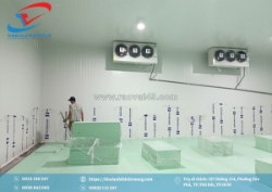 Thiết kế kho lạnh nông sản miễn phí 100%: dịch vụ trọn gói giúp bạn lời ngay từ bước đầu tư