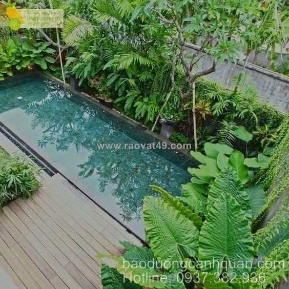 ~/Img/2025/10/thiet-ke-thi-cong-san-vuon-hien-dai-o-hcm-dong-nai-01.jpg