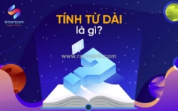 Tinh tu dai
