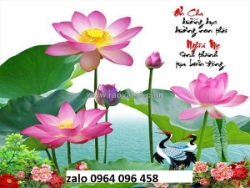 Tranh gạch 3d hoa sen - gạch tranh 3d hoa sen - xcv6