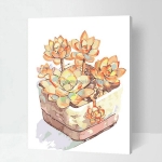 Tranh hoa sen đá canvas – lựa chọn hiện đại cho không gian sống