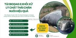 Túi biogas 8 khối xử lý chất thải hiệu quả