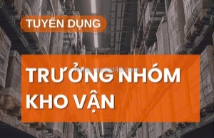 Tuyển trưởng nhóm điều phối vận chuyển kho bãi làm tại brvt