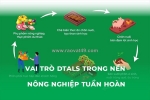 Vai trò dtals nền nông nghiệp tuần hoàn