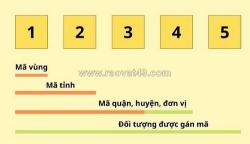 Vai trò quan trọng của mã bưu chính trong hệ thống bưu chính hiện đại
