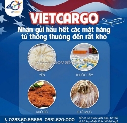 Vietcargo – chuyên dvụ gửi thực phẩm sang đài loan với mức giá hợp lý, an toàn