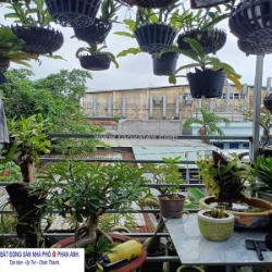 🌹 bán gấp nhà phố dương đình hội, quận 9 | 2 tầng 3 pn | 70 m2, chỉ có 3 tỷ.n.n.n.