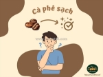 ☕ cà phê sạch – bí quyết chọn đúng và thưởng thức an toàn