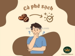 ☕ cà phê sạch – bí quyết chọn đúng và thưởng thức an toàn