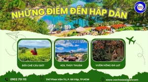 ✨ đà lạt 3n3đ best seller tết dương lịch ✨