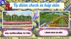 🌸✨ khám phá làng hoa sa đéc – rực rỡ sắc xuân, check-in mê ly! ✨🌸