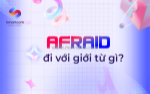 Afraid di voi gioi tu nào