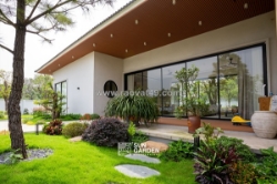 Ảnh sân vườn ý tưởng xanh mát cho nhà phố nhỏ