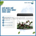 Aqua house - giải pháp hồ cá đẹp, chất lượng cho mọi nhà