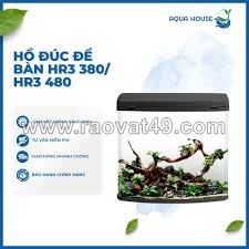 Aqua house - giải pháp hồ cá đẹp, chất lượng cho mọi nhà