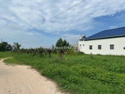 Bán 1.4 sào đất giảm 50% tân bình - lagi chỉ 1.6 tỷ phủ hồng gần biển