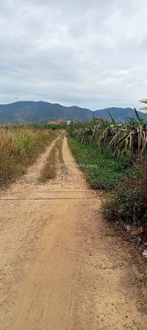 Bán 15ha đất ở dân thuận, xã hàm thạnh, huyện hàm thuận nam, tỉnh bình thuận