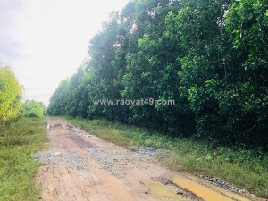 Bán 2.5 sào đất 2 mặt đường số 8 - tân hà - hàm tân giá mềm 36tr/m ngang