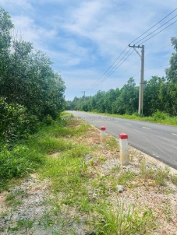 Bán 2.65 hecta đất 2 mặt tiền phạm thế hiển nd, tân bình, lagi giá đầu tư