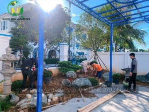 Bán c.ỏ trồng sân vườn các loại giá rẻ ở hcm, đồng nai