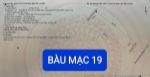 🔴💥bán đất đường bàu mạc 19 - gần trục đường nguyễn an ninh