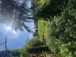 Bán đất hnk - lô góc - mặt tiền - thạnh xuân 52-  3600m2- shr , giá 40 tỷ