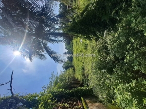 Bán đất hnk - lô góc - mặt tiền - thạnh xuân 52-  3600m2- shr , giá 40 tỷ