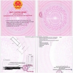 Bán đất khu đô thị mới an phú thịnh - đảo b3 - tp quy nhơn